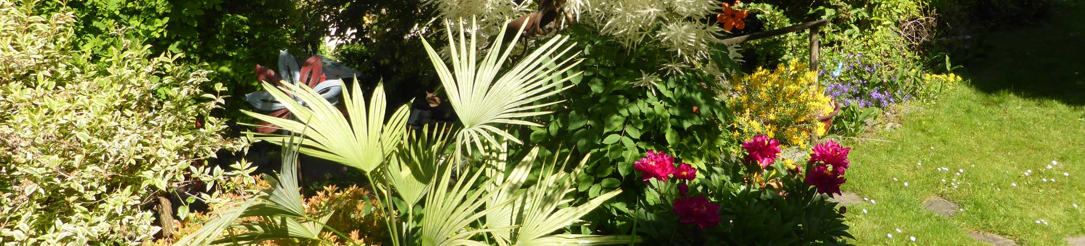 Palme, Pfingstrosen, Waldgeisbart